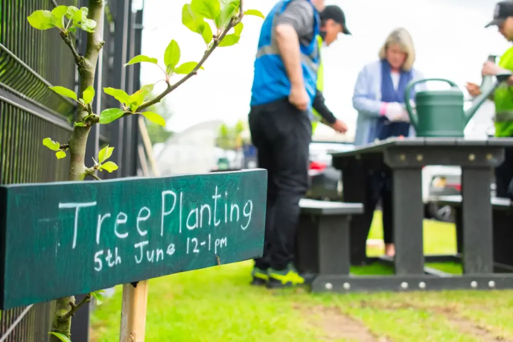 Tree planting