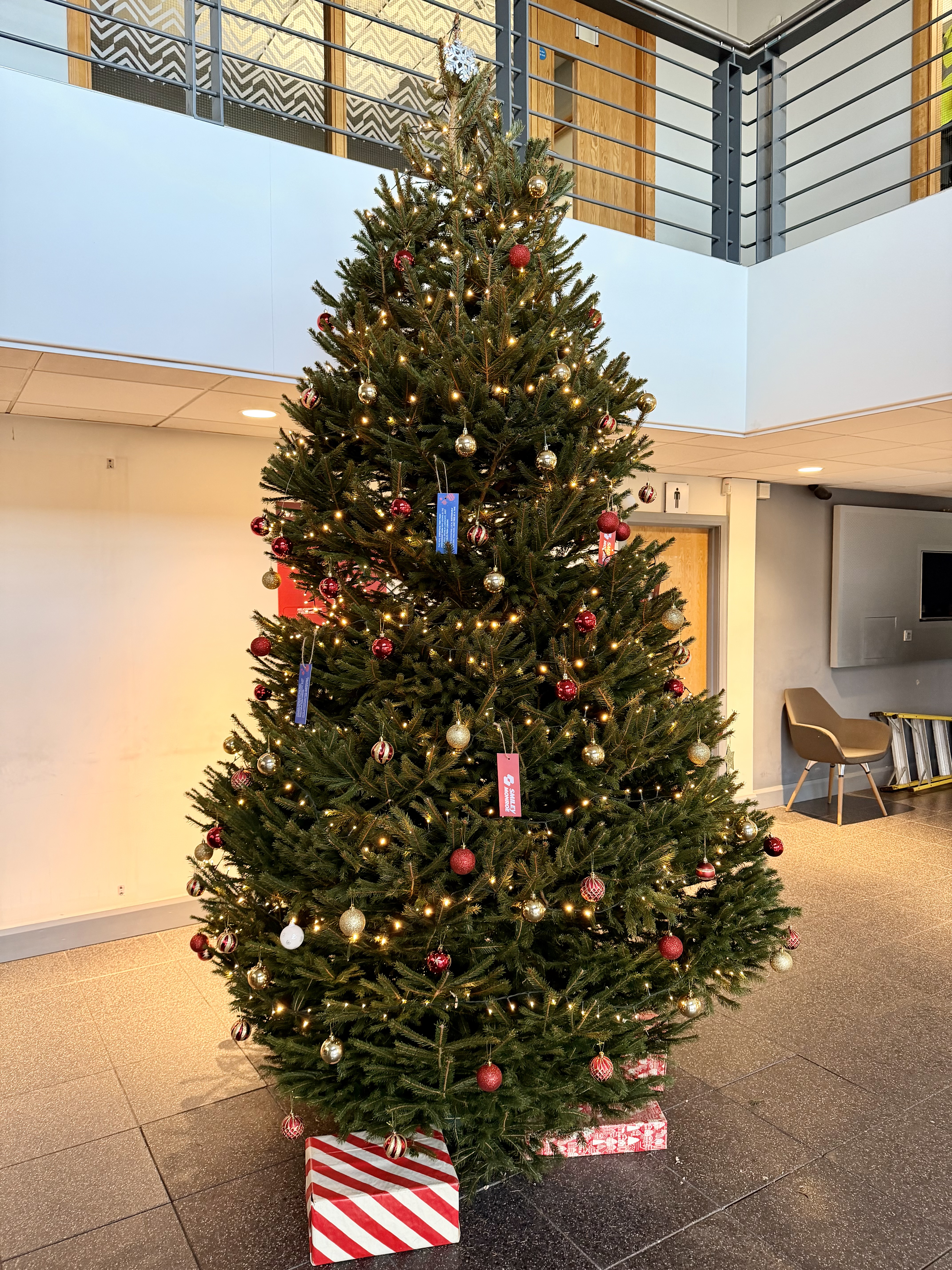 Real Tree at Smiley Monroe's HQ Office